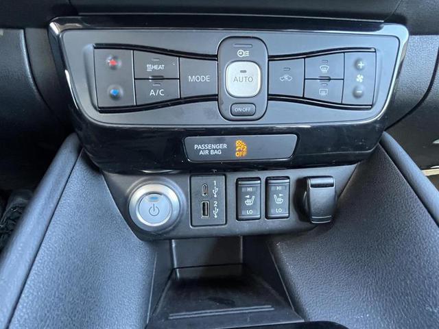 2020 Nissan LEAF SL PLUS photo